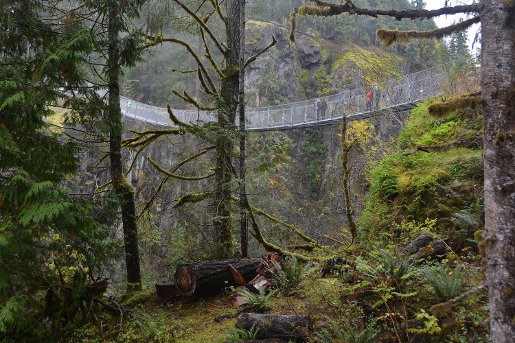 suspension bridge